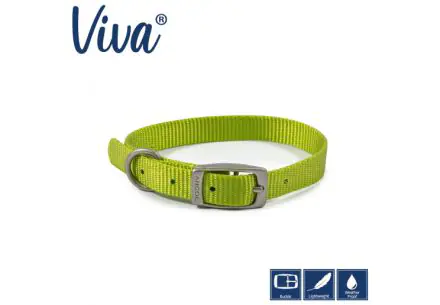 Viva Collar Lime 35-43cm Size 4