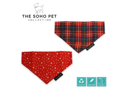 Tartan/Star Patterned Bandana