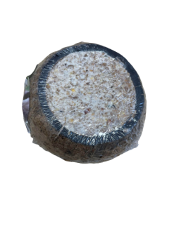Wild Bird Treat Coconut Drum with Seeds