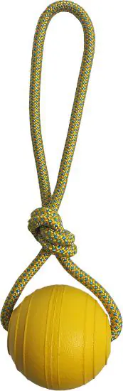 H&B floating tough ball on rope (mixed)