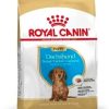 Royal Canin Dachshund Puppy 1.5kg