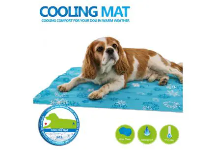 Large Cooling Mat 60x90cm