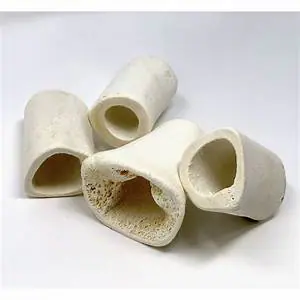 Hollow Calcium Bone