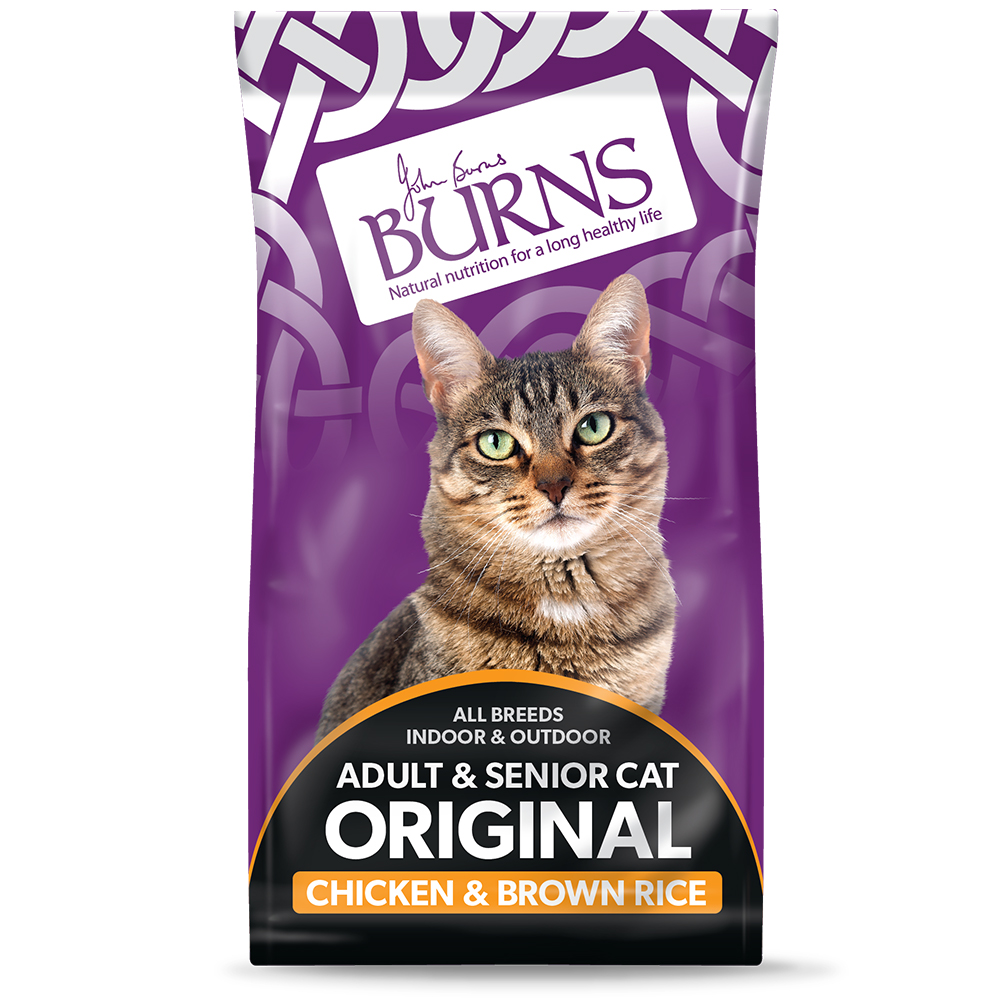 Chicken and rice for cats hot sale