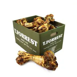 T Forrest Roasted Jurassic Bone 12"  Bulk Box (8)