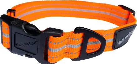 H&B sports collar adj large orange