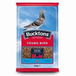Buckton Pigeon Young Bird 20kg