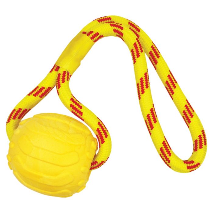 Floating dog toys shop uk