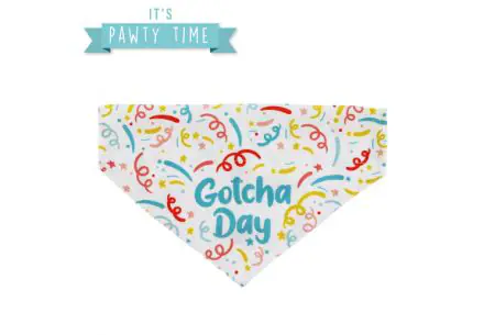 Pawty Gotcha Bandana Large