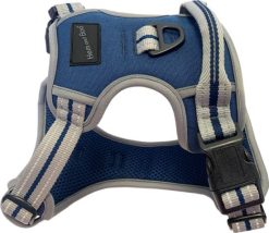 H&B Sports reflective Harness BLUE Large