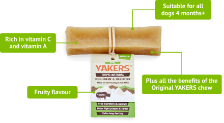 Yakers Dog Chew Apple XL