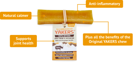 Yakers Dog Chew Turmeric Medium