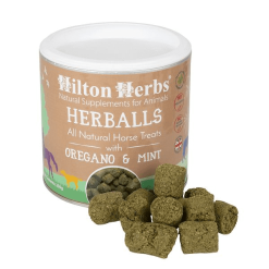 Hilton Herbs Herballs Horse Treats - 250g Tub