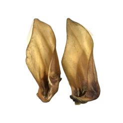 Large Buffalo Ears 50 pack