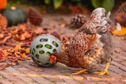 BEEZTEES CHICKEN SNACKBALL