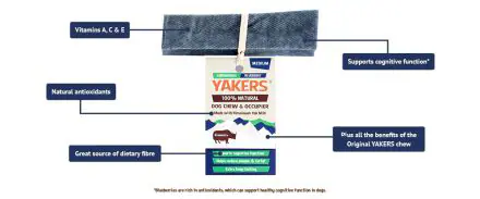 Yakers Dog Chew Blueberry Medium