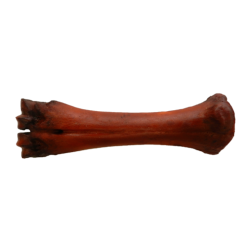 Shank Bone Smoked 15pcs Box