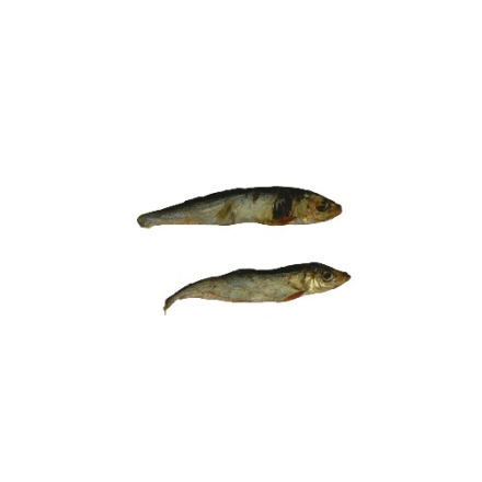 Sprats 5KG Bag