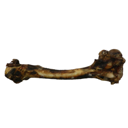 Deer Bone Lge 20pcs Box