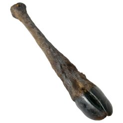 Deer Leg With Hair 10pcs Bag