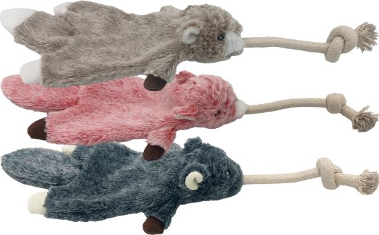Buy Hem and Boo Flattie Rat with rope squeaky ball Dog Toy Mixed Save with Heart Pet Supplies Free Same Day Local Delivery