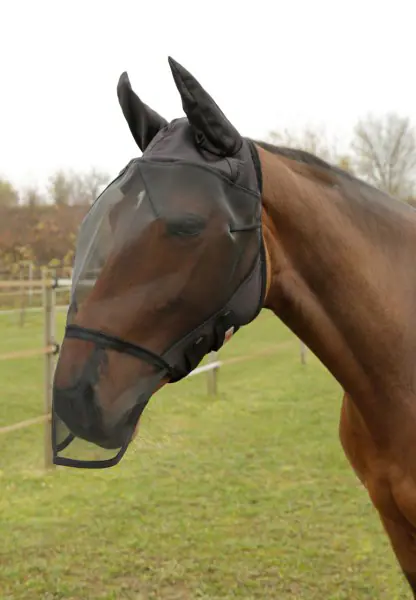 FULL FLY MASK FULL