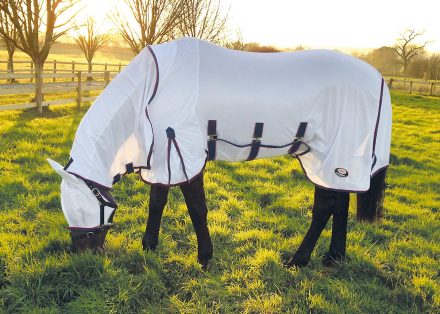ESSENTIALS ALLINONE FLYRUG 5'9"