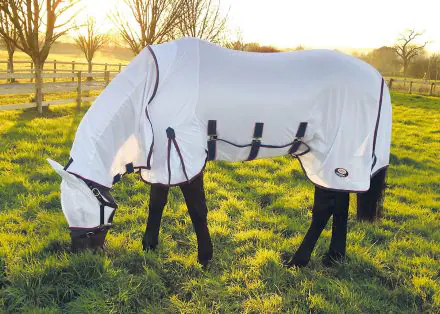 ESSENTIALS ALLINONE FLYRUG 5'9"