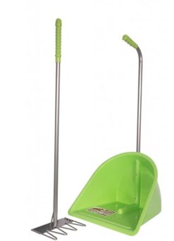 Tidee with Rake Pistachio