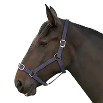 ESSENTIALS NAVY HEADCOLLAR & LEAD ROPE SET - FOAL