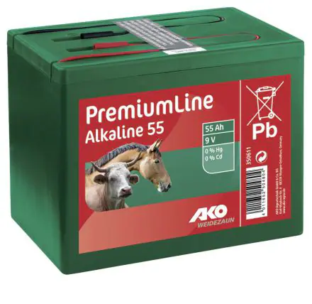 9V/55AH DRY ALKALINE BATTERY