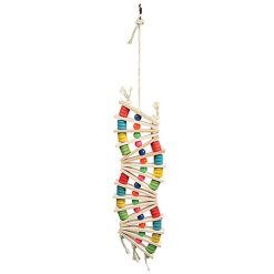 HP Rainbow Wave Bird Toy