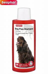 Buy Beaphar Dog Flea Shampoo OLD 250ml Save with Heart Pet Supplies Free Same Day Local Delivery