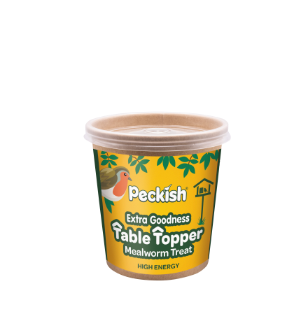 Peckish Winter Warmer Berry Suet Cookie 400g