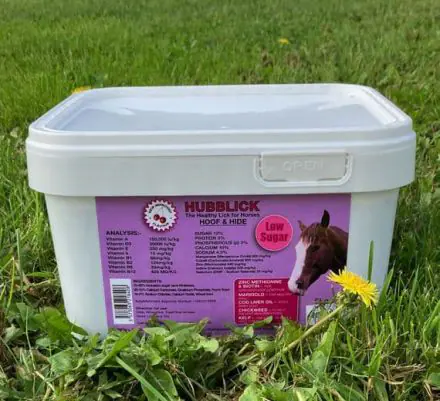 Hubblick Hoof & Hide Horse Lick 5KG