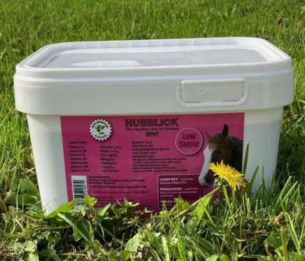 Hubblick Mint Horse Lick 5KG