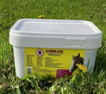 Hubblick Respiratory Horse Lick  5KG