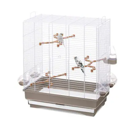 HP CARLOTTA - BIRD CAGE