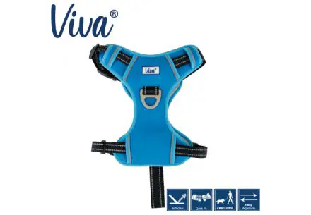 Viva Exercise & Travel Harness Blue S 35-45cm