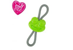 Small Bite Frog Teether Tugger Dog Toy