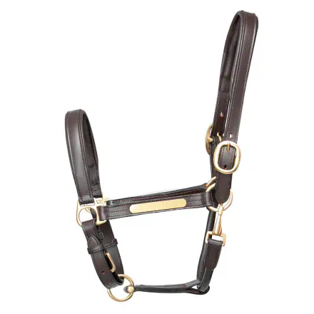 Hy Equestrian Leather Head Collar - Full - Black