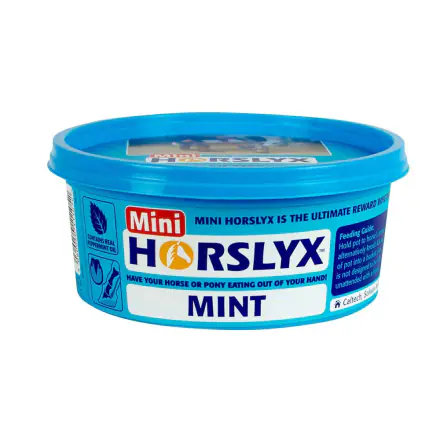 Horslyx Mint - Mini - 650g