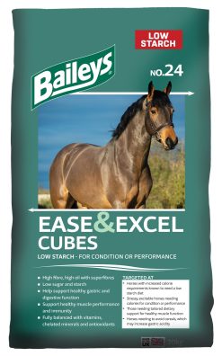 Baileys Ease And Excel No24