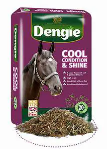 DENGIE COOL CONDITION AND SHINE 20KG