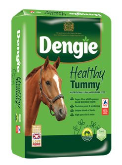 DENGIE HEALTHY TUMMY 20kg