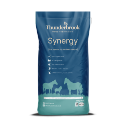 THUNDERBROOK SYNERGY ( BASE MIX) 15kg