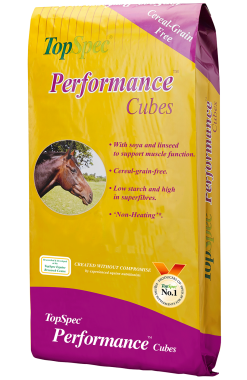 TOPSPEC PERFORMANCE CUBES 20KG