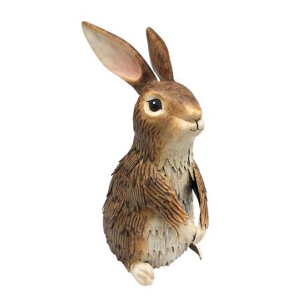 Metal Inquisitive Brown Rabbit