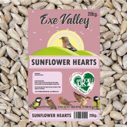 Exe Valley Sunflower Heart 12.75