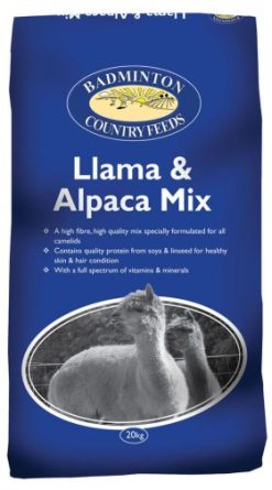 Badminton Llama/Alpaca Mix